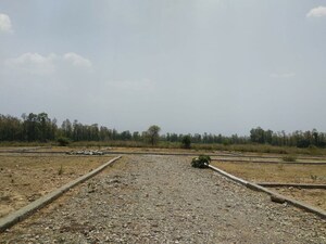 Plot Area in  Plot at Birsani – for Sale