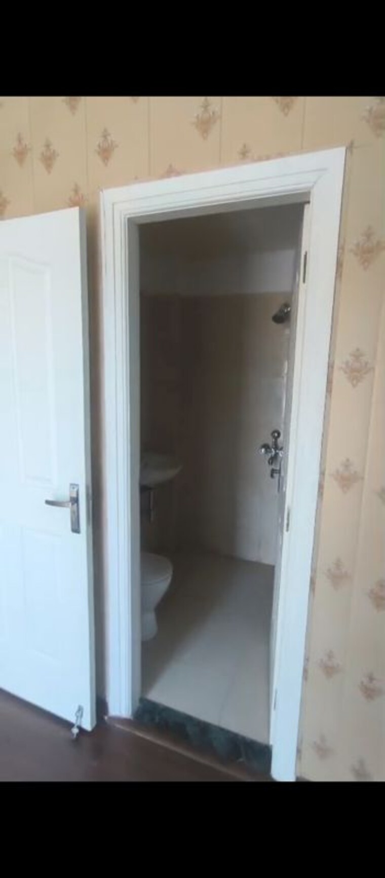 undefined, bptp-park-floors-i 3 Bedroom 190 Sq.Yd. Builder Floor In Sector 77 Faridabad 10560456