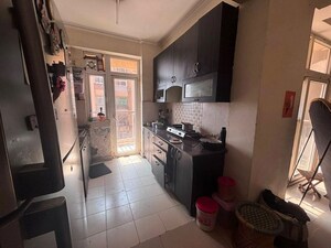 1 BHK Apartment For Rent in Paramount Emotions, Sector 1 Greater Noida