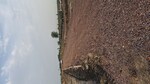 50 Sq.Yd. Plot in Sohna