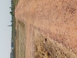 80 Sq.Yd. Plot in Karnera Village