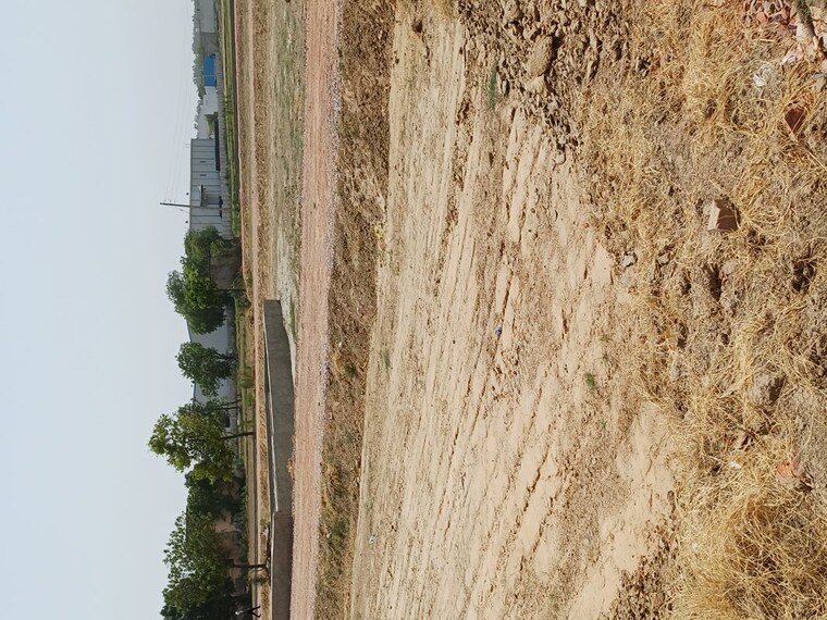 undefined, karnera village  81 Sq.Yd. Plot In Karnera Village Faridabad 10560940