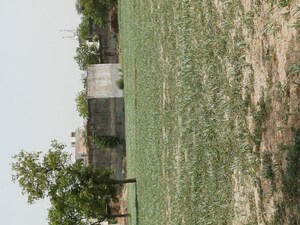  Plot – Garden View at Karnera Village - for Sale