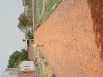 81 Sq.Yd. Plot in Karnera Village