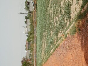  Plot – Garden View at Karnera Village - for Sale