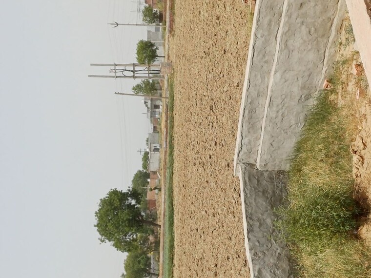 undefined, karnera village  82 Sq.Yd. Plot In Karnera Village Faridabad 10561032