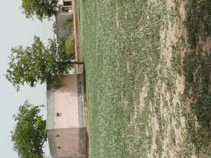   Plot at Karnera Village – for Sale