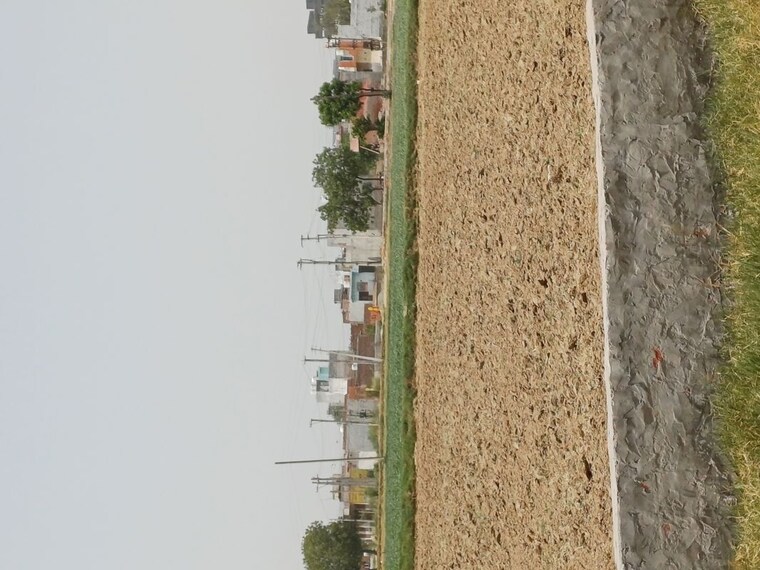 undefined, karnera village  85 Sq.Yd. Plot In Karnera Village Faridabad 10561072