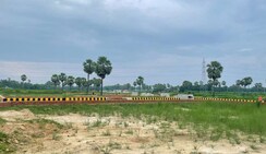 Plot For Sale in Sector 124