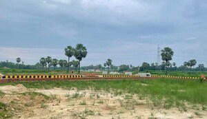  Plot For Sale in Sector 124