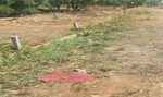 1300 Sq.Ft. Plot in Honnasandra