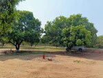 130 Sq.Yd. Plot in Wargal