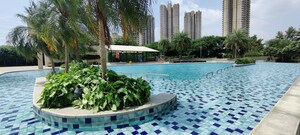 Swimming Pool in 3.5 BHK Apartment at M3M Escala, Sector 70a – for Rent