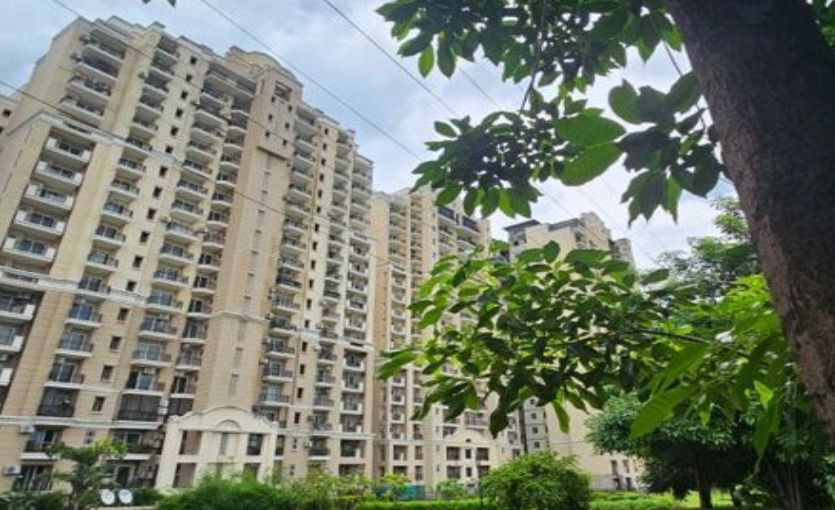 3 BHK 1450 Sq.Ft. Apartment in MS Enclave Zirakpur