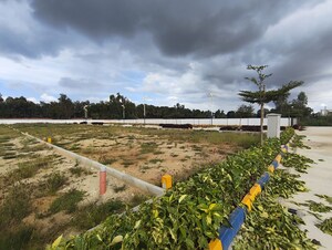 Plot Area in  Plot at Thirumalashettyhally – for Sale