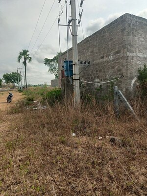 Plot Area in  Land at Dharmaram – for Sale