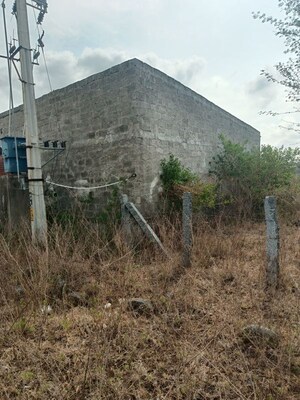 Plot Area in  Land at Dharmaram – for Sale