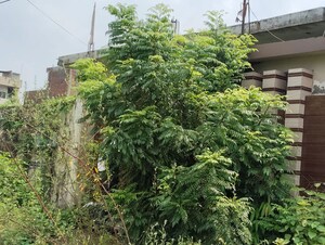  Independent House – Garden View at Salempur - for Sale