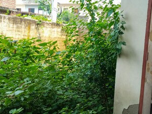  Independent House – Garden View at Salempur - for Sale