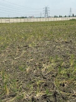 Plot For Sale in Kishor Pura