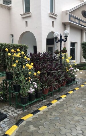  Apartment – Exterior View View at Sector 31 - for Sale