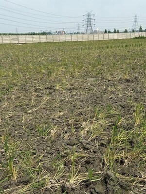  Plot For Sale in Vrindavan