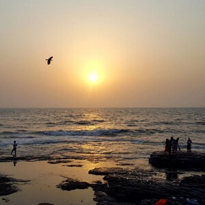 1 BHK Apartment For Sale in Bandra West