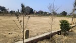 980 Sq.Ft. Plot in Sultanpur