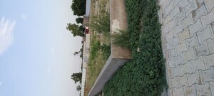 Plot Area in  Plot at Gwalior Road – for Sale