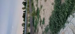 111 Sq.Yd. Plot in Gwalior Road