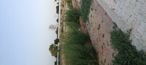  Plot – Exterior View View at Gwalior Road - for Sale