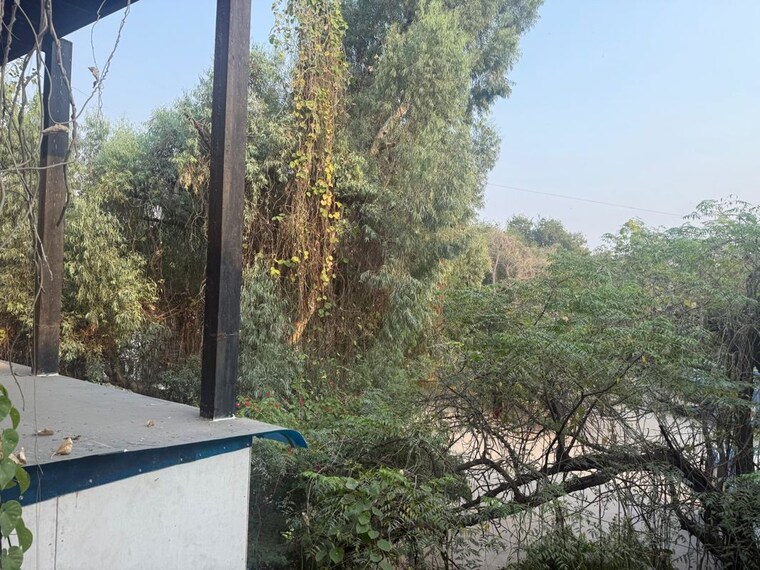 Garden, sukhdev vihar 3 Bedroom 3000 Sq.Ft. Builder Floor In Sukhdev Vihar Delhi 10561914
