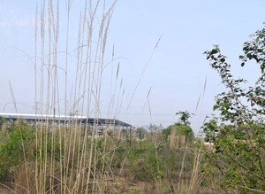  Industrial Plot For Sale in Riico Industrial Area