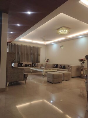 Living Room in 4 BHK Builder Floor at Green Park – for Sale