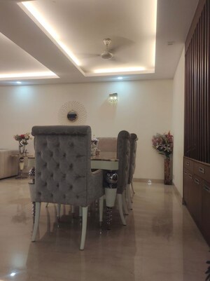 Living Room in 4 BHK Builder Floor at Green Park – for Sale