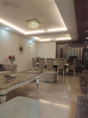 Living Room in 4 BHK Builder Floor at Green Park – for Sale