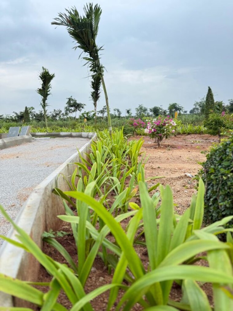 undefined, yacharam  500 Sq.Ft. Plot In Yacharam Hyderabad 10562125