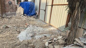   Plot at Sector 100 – for Sale