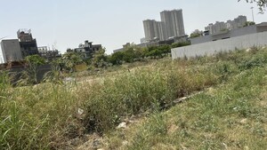  Plot For Sale in Sector 100