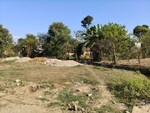 100 Sq.Yd. Plot in Rajpur