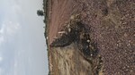 55 Sq.Yd. Plot in Sohna