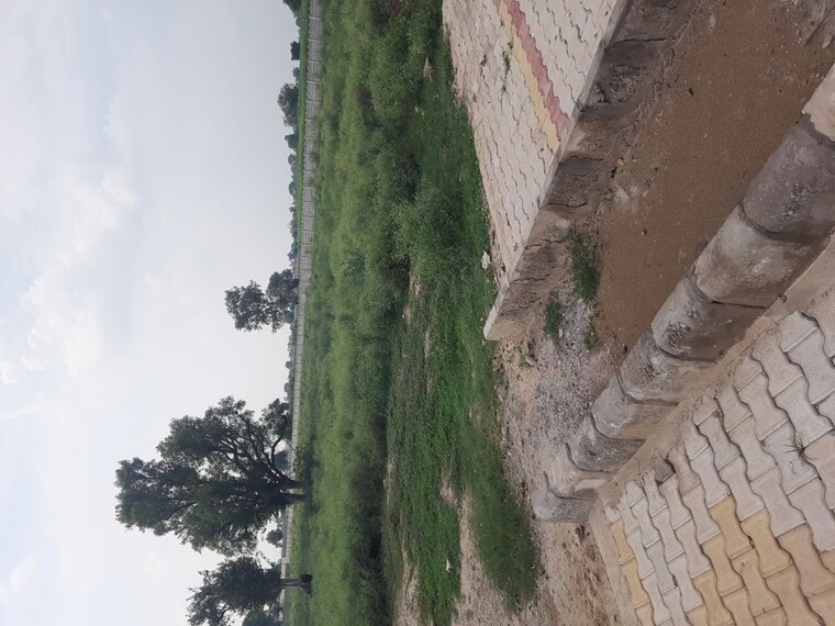 undefined, mathura cantonment  100 Sq.Yd. Plot In Mathura Cantonment Mathura 10562183