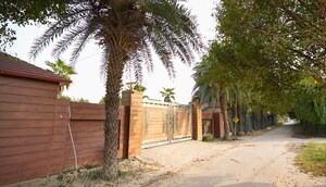 3 BHK Independent House – Exterior View View at Sector 135 - for Sale