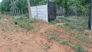 Plot Area in  Plot at Osman Nagar – for Sale