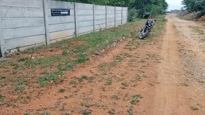 Plot Area in  Plot at Osman Nagar – for Sale