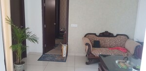 Living Room in 1 BHK Apartment at Barnala Green Lotus Avenue, Ambala Highway – for Rent