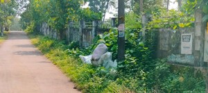Plot Area in  Plot at Kodakara – for Sale