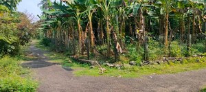  Plot – Garden View at Kodakara - for Sale