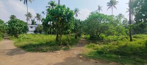  Plot – Exterior View View at Kodakara - for Sale