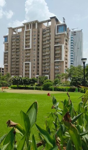 3.5 BHK Apartment For Rent in Emaar Palm Gardens, Sector 83